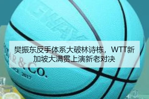 樊振东反手体系大破林诗栋，WTT新加坡大满贯上演新老对决