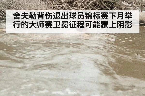 舍夫勒背伤退出球员锦标赛下月举行的大师赛卫冕征程可能蒙上阴影
